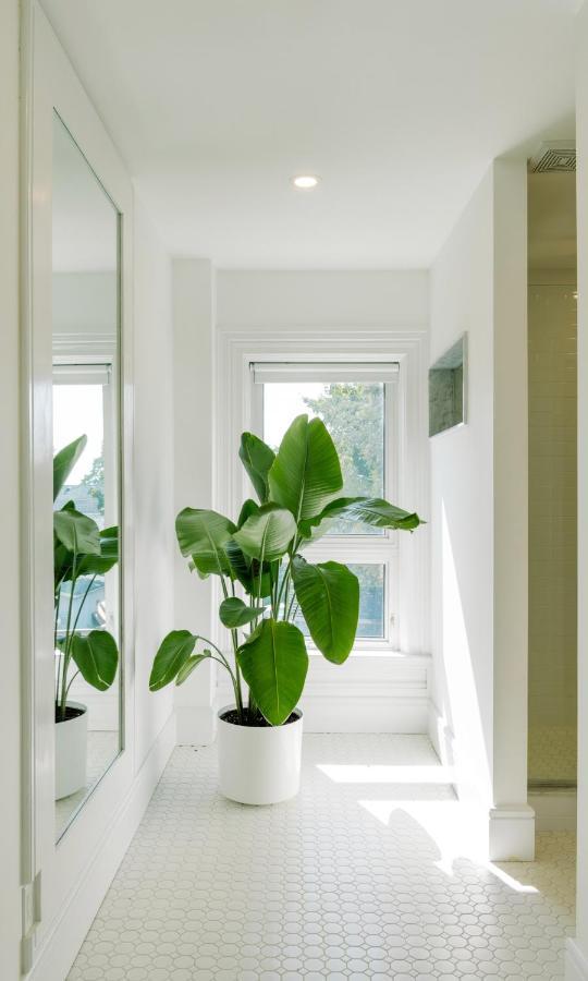 The Flats West Apartment Wellington Luaran gambar